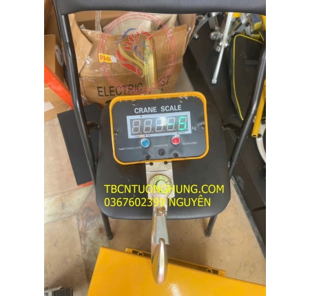 Cân treo điện tử OCS Nitto 5 tấn China