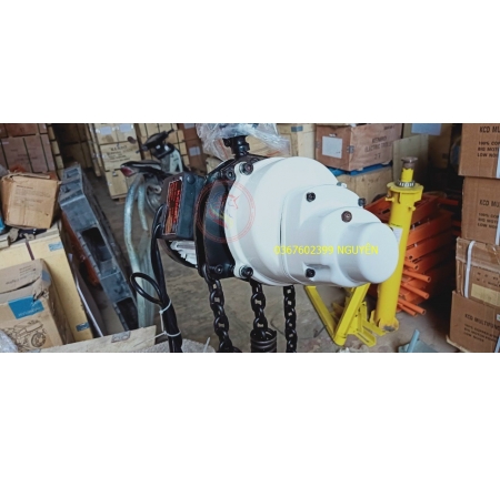 Pa lăng xích điện 1 tấn 1000kg 220v Kenbo Fujifa Fag