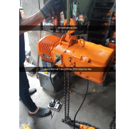 PALANG XÍCH ĐIỆN HAK 1 TẤN 3 MÉT 220V TAIWAN