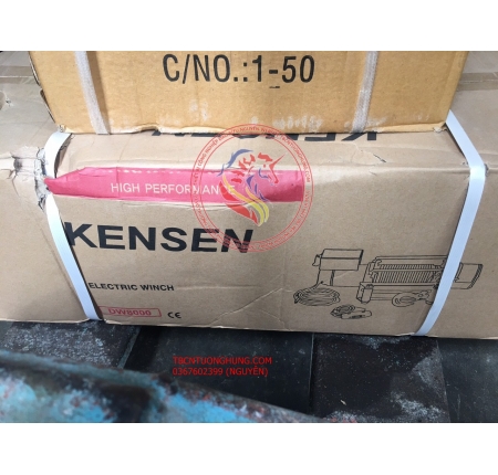 TỜI ĐIỆN BÌNH KENSEN 4500LBS 12V 24V