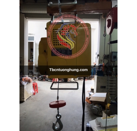 TỜI ĐIỆN TREO MINI 300KG TAIWAN