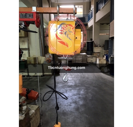 TỜI ĐIỆN TREO MINI 300KG TAIWAN