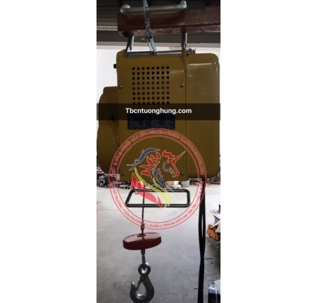 TỜI ĐIỆN TREO MINI 150KG TAIWAN