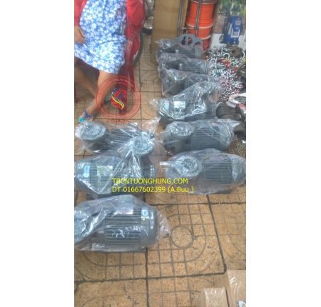 MÁY BƠM NƯỚC TECO 1 HP 380V 